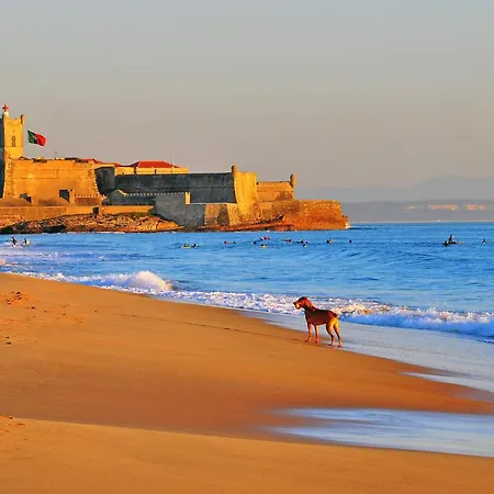 Lovely Carcavelos Apartment